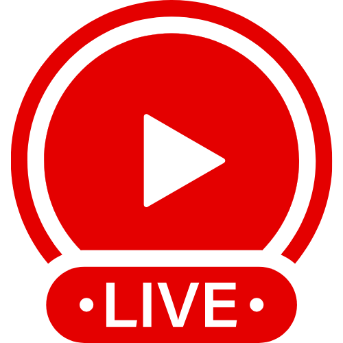 Sissy Vibrator Joi | Live Webcam Shows & Interactive Adult Entertainment